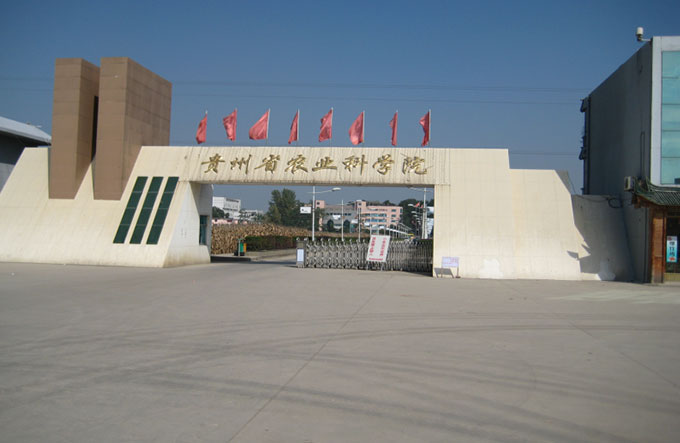 贵州省农科院油料所电视监控系统